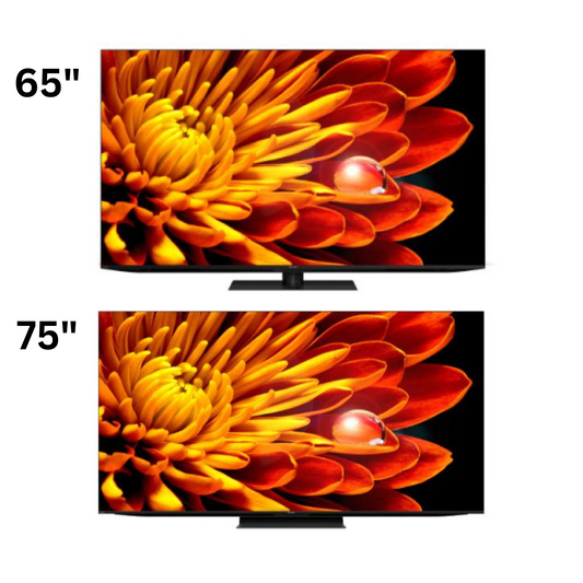 AQUOS XLED 4K UHD ( FV1 Series )