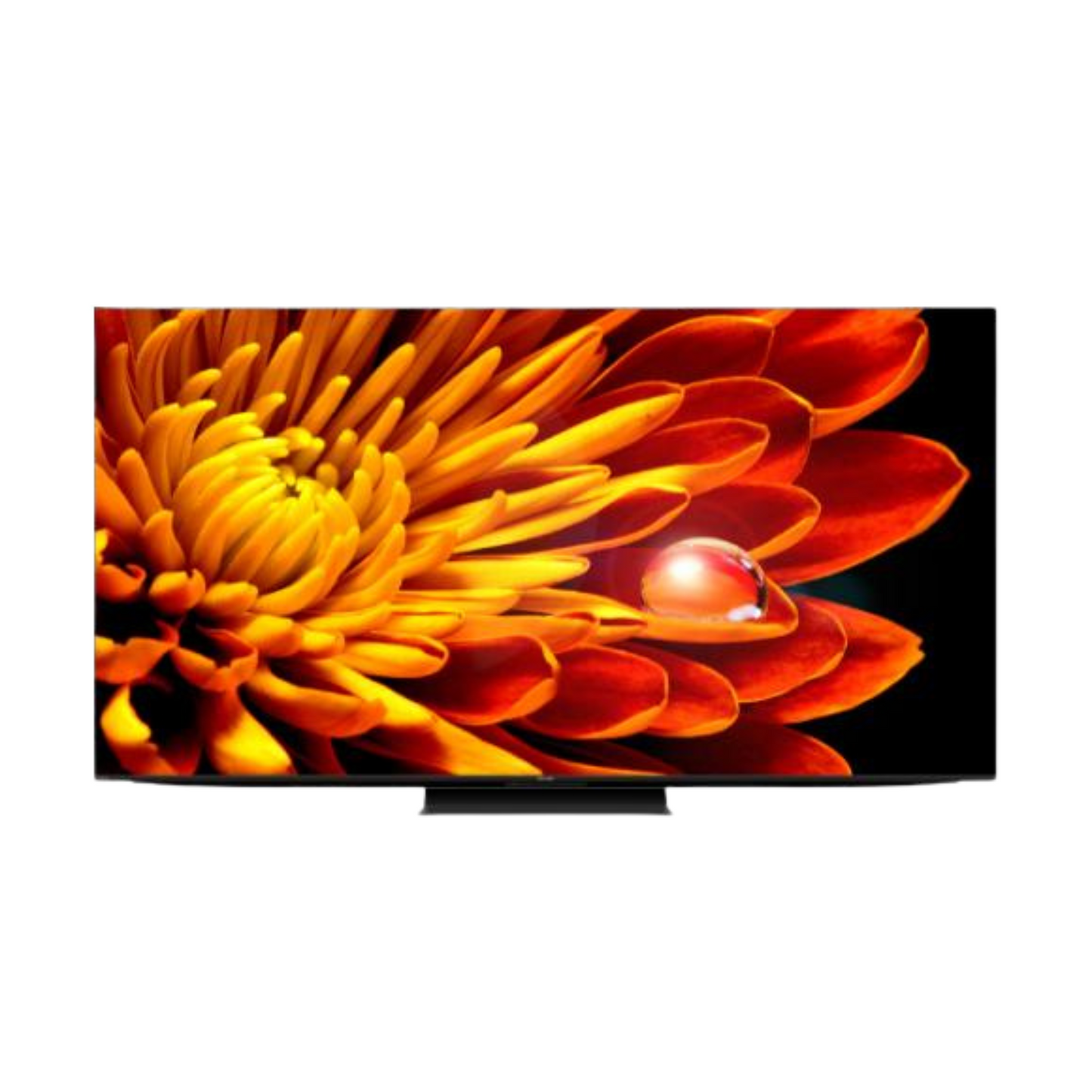 AQUOS XLED 4K UHD ( FV1 Series )