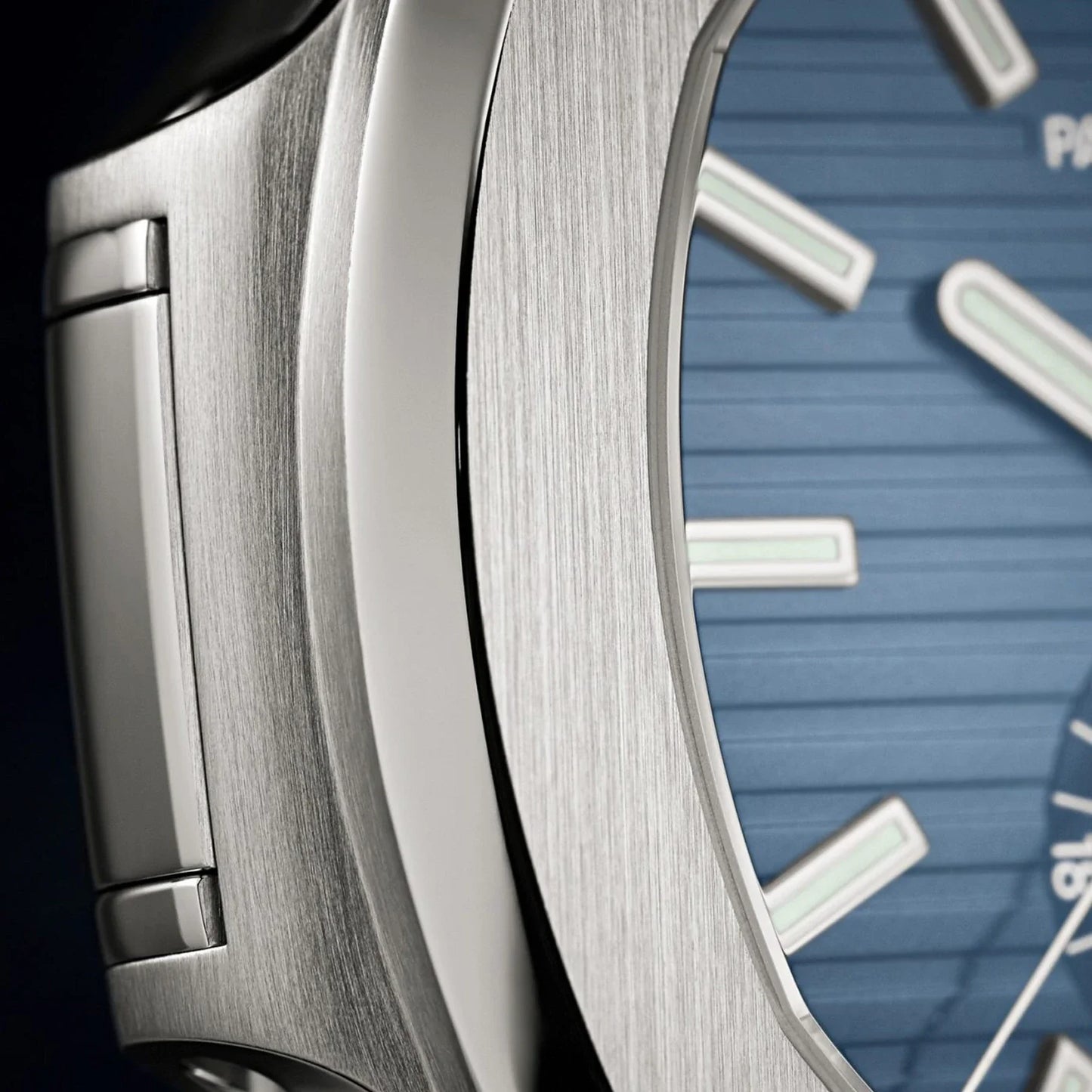 Nautilus Stainless Steel
