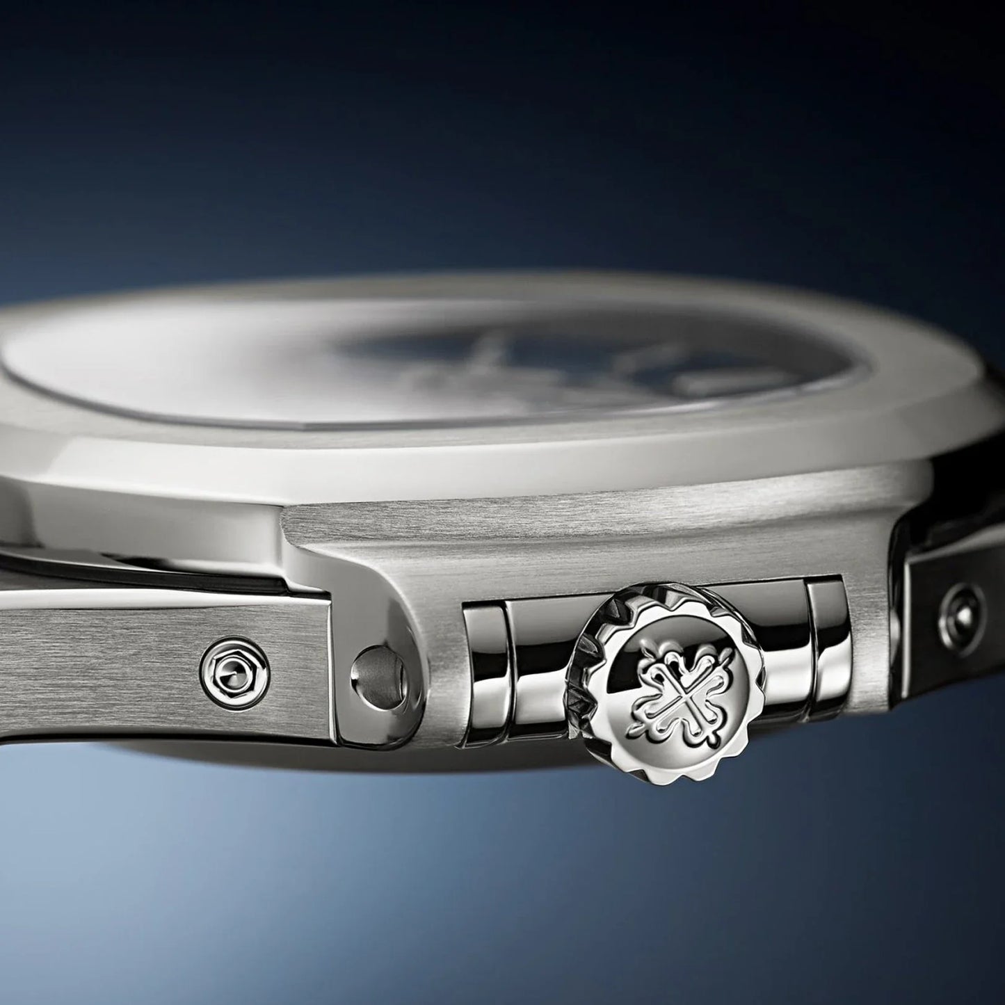 Nautilus Stainless Steel