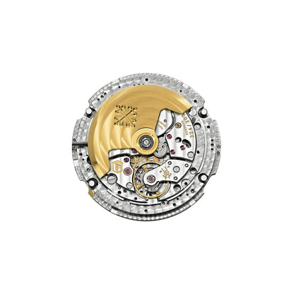 Nautilus Stainless Steel