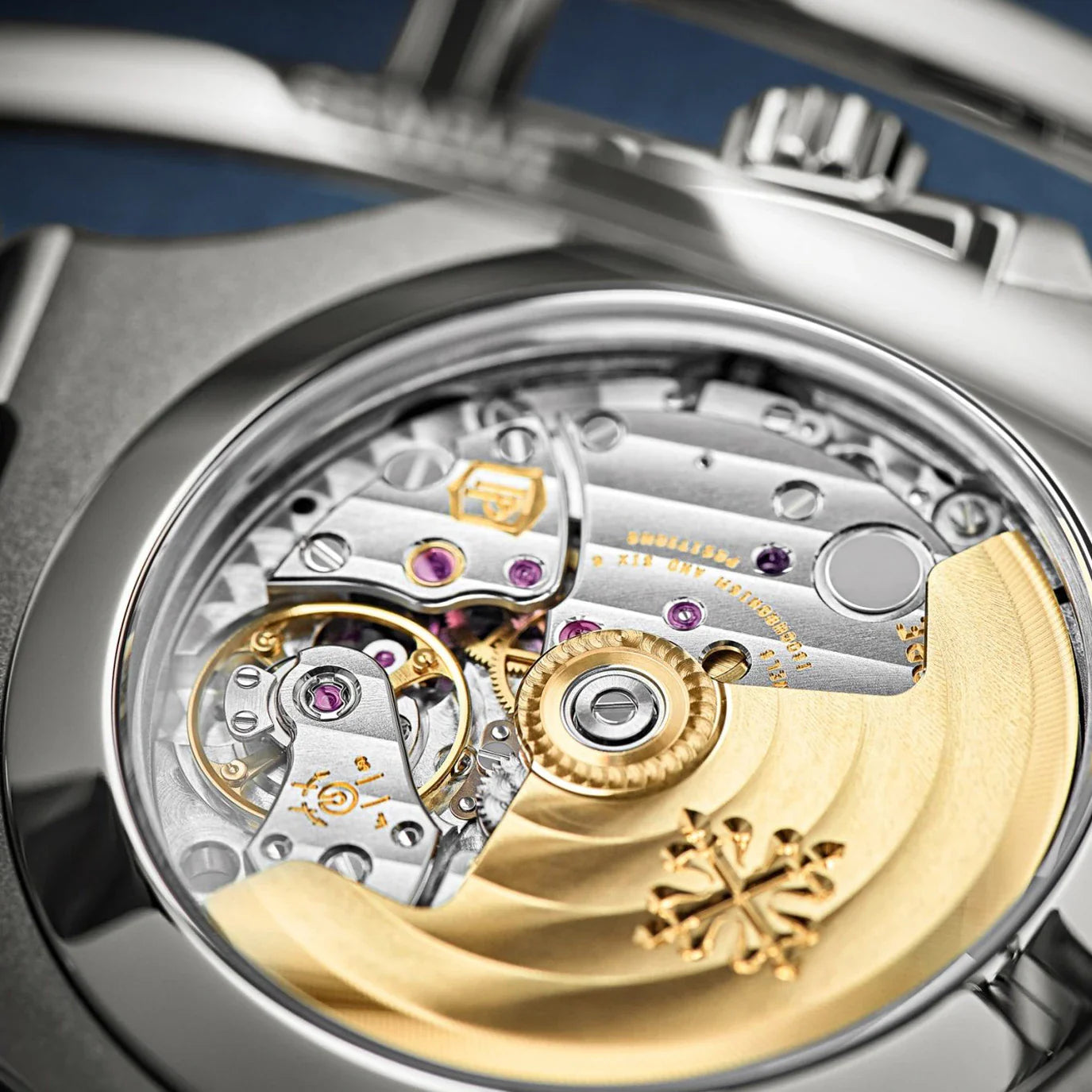 Nautilus Stainless Steel